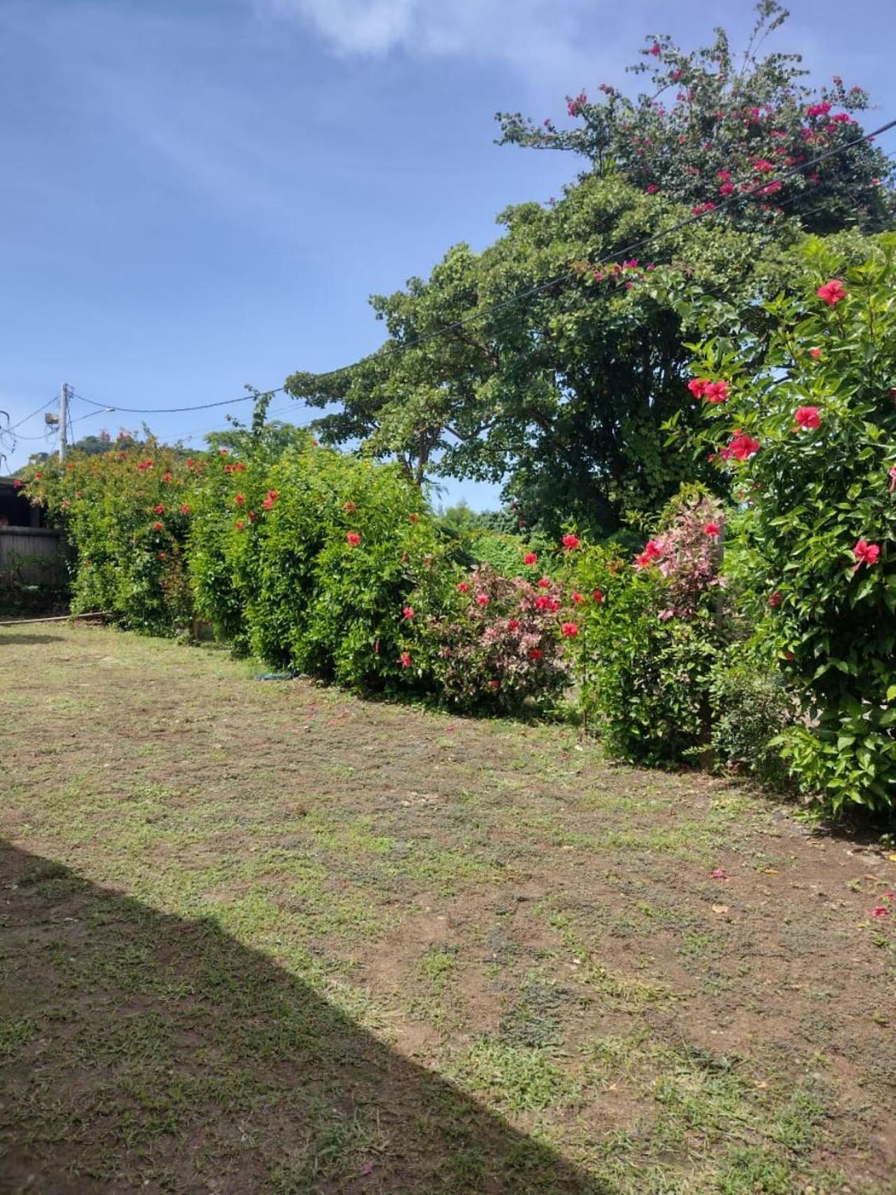 Palhoca Da Colina Hotel Fernando de Noronha Eksteriør billede