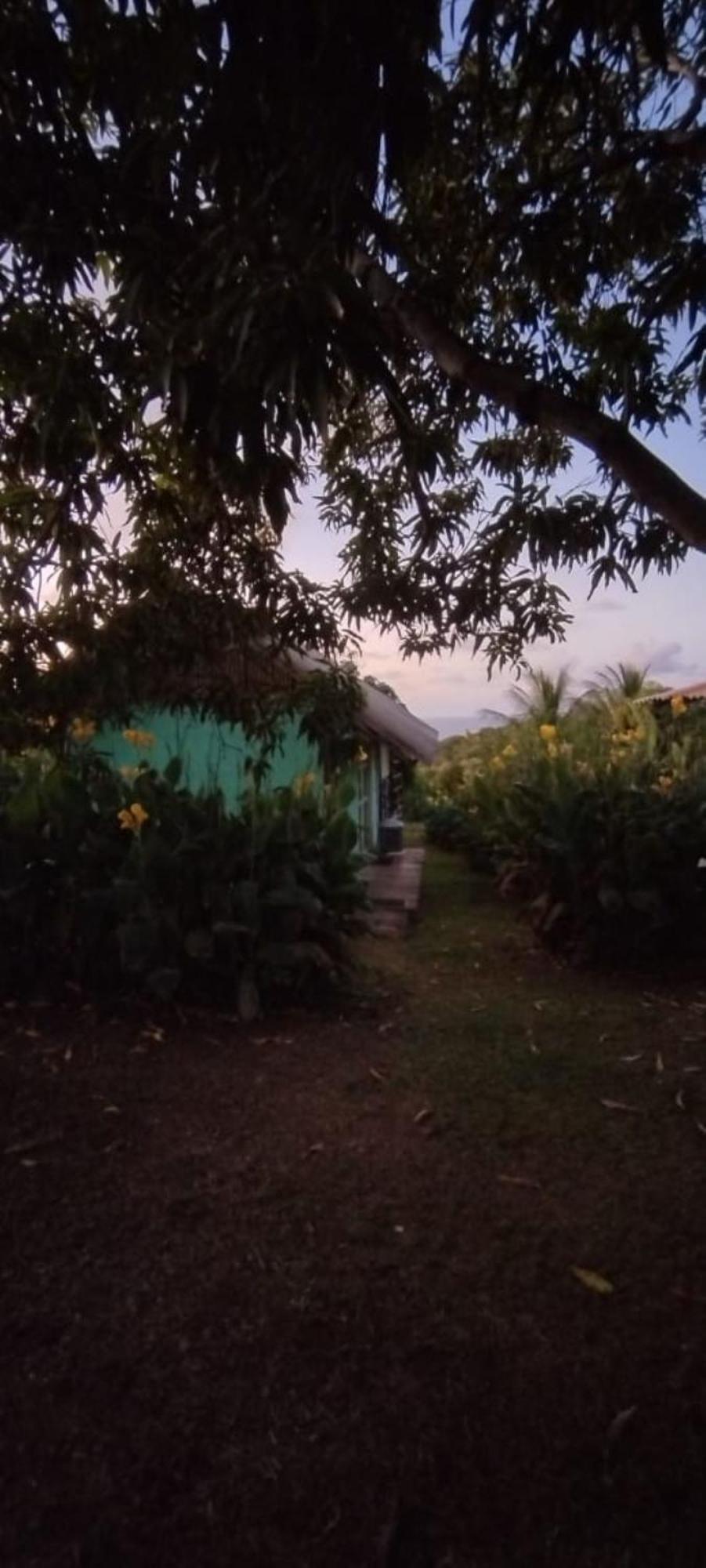 Palhoca Da Colina Hotel Fernando de Noronha Eksteriør billede