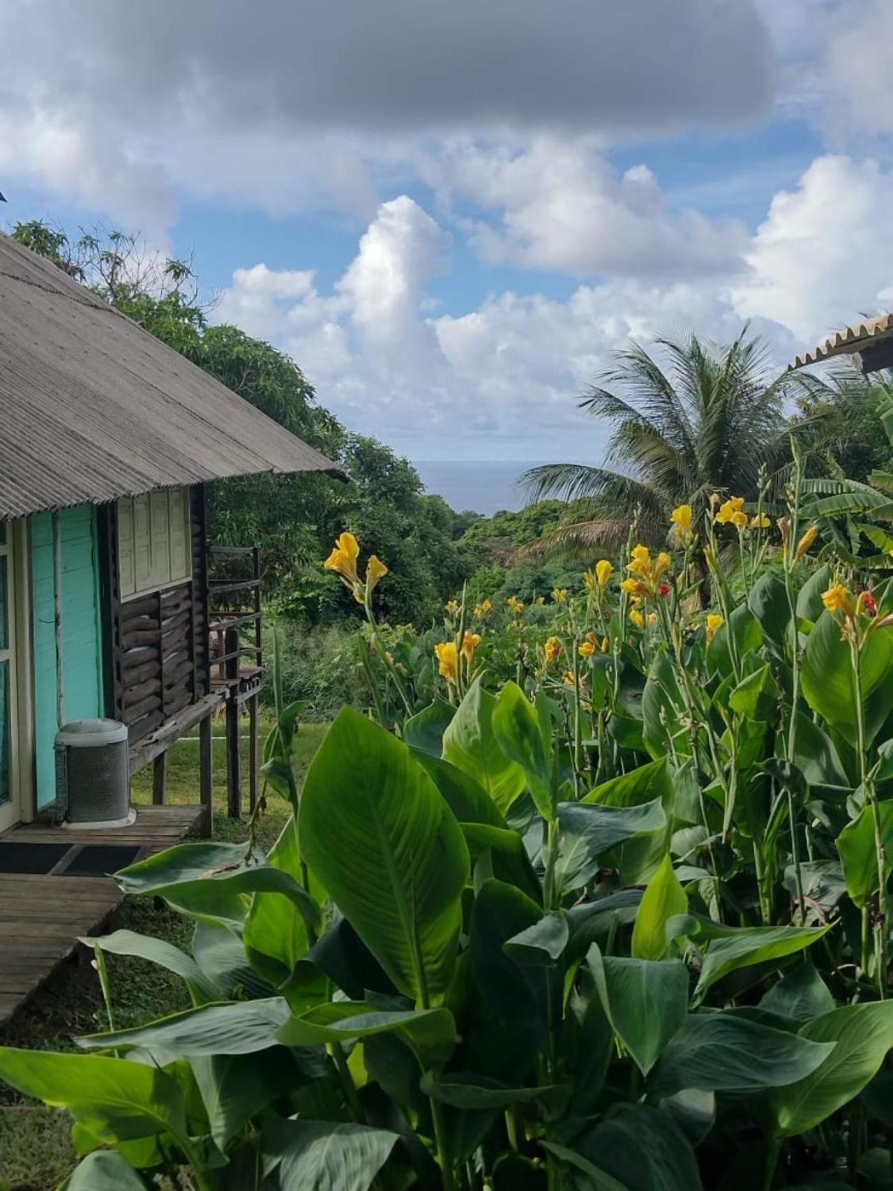 Palhoca Da Colina Hotel Fernando de Noronha Eksteriør billede