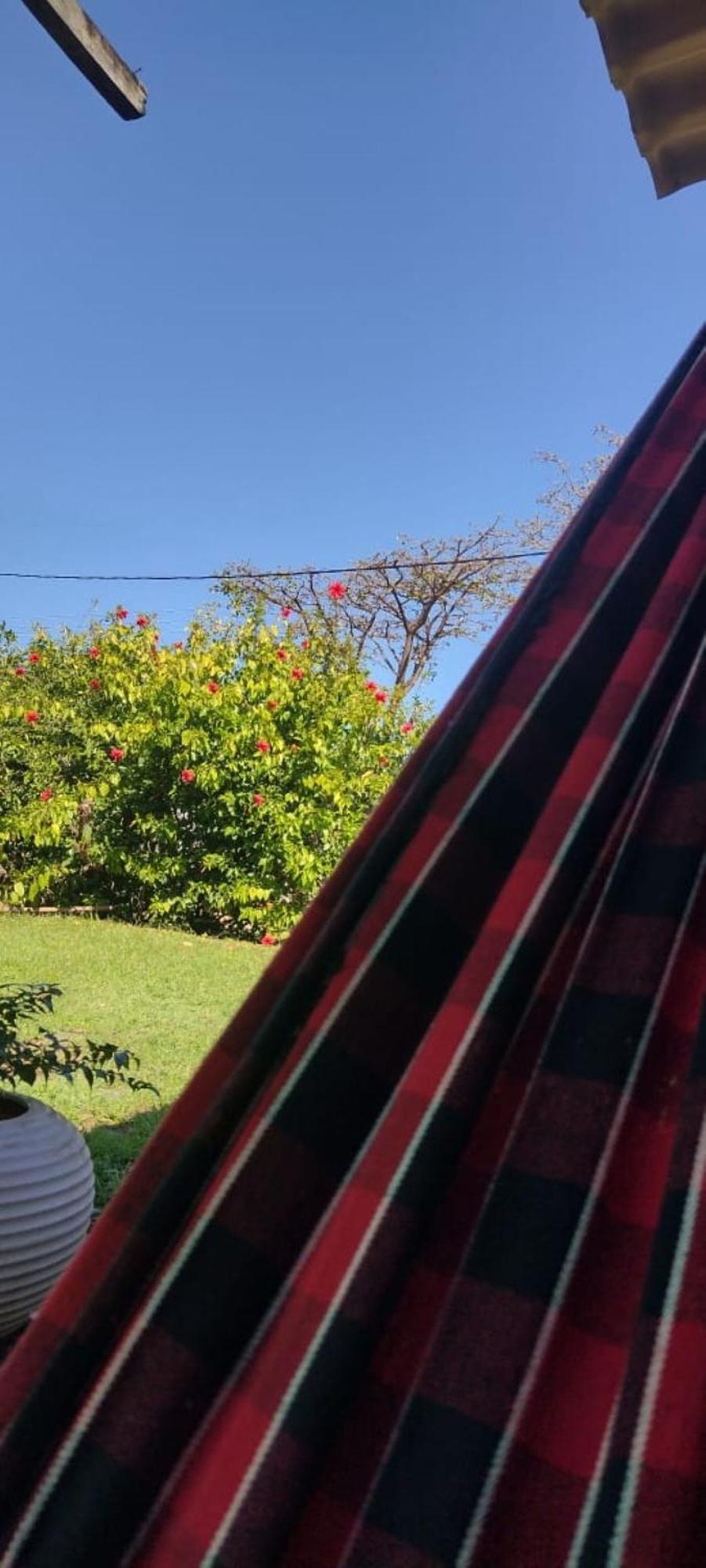 Palhoca Da Colina Hotel Fernando de Noronha Eksteriør billede